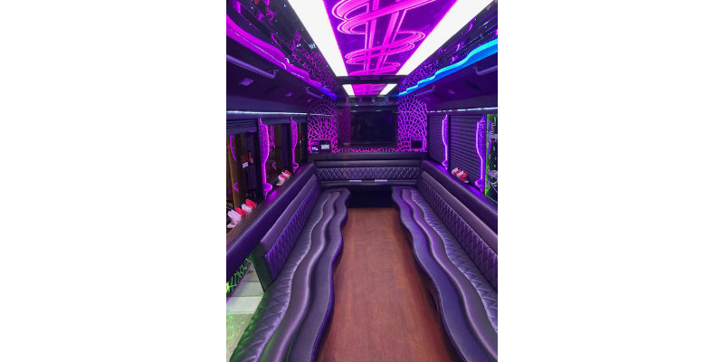 Executive Van - inside