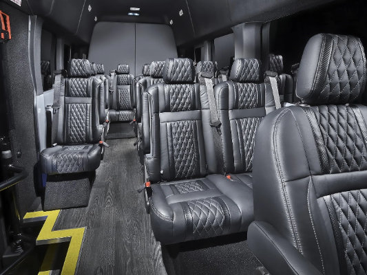 14 passenger executive coach - inside